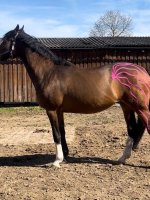 Physio4fourTierphysioSMALL-14