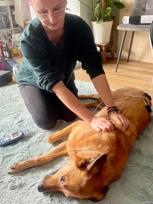 Physio4fourTierphysioSMALL-24